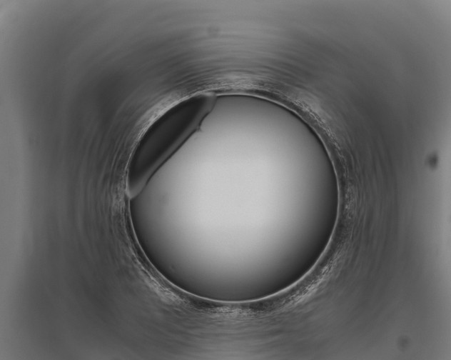 X0000096141081200801180846