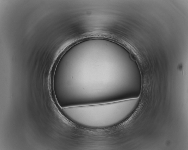 X0000096141082200801180846