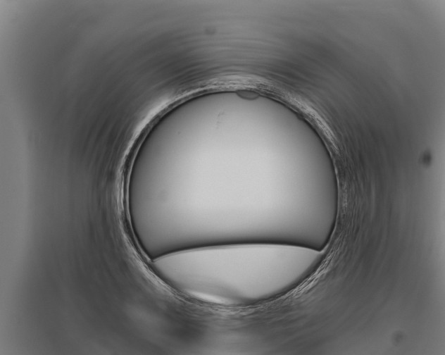 X0000096141083200801180846