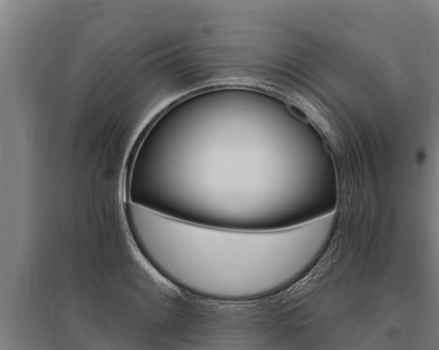 X0000096141084200801180846