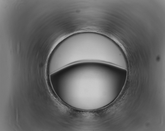 X0000096141085200801180846