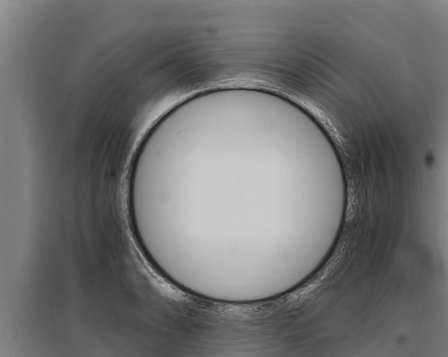 X0000096141086200801180846