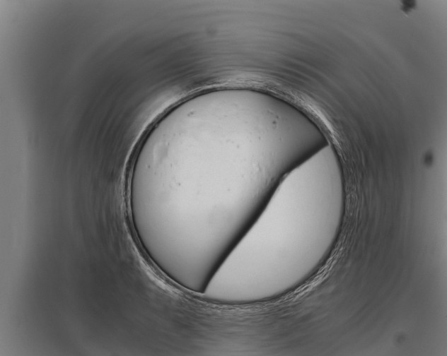 X0000096141087200801180846