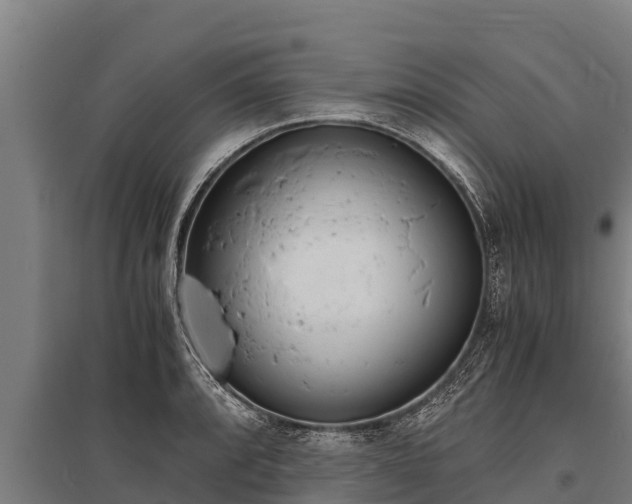X0000096141088200801180846