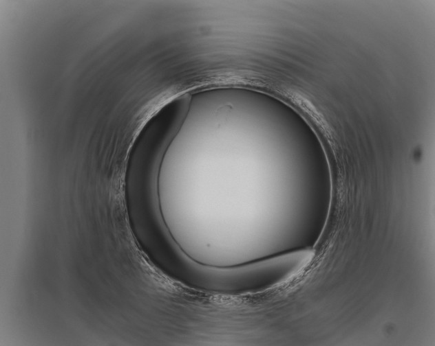 X0000096141089200801180846