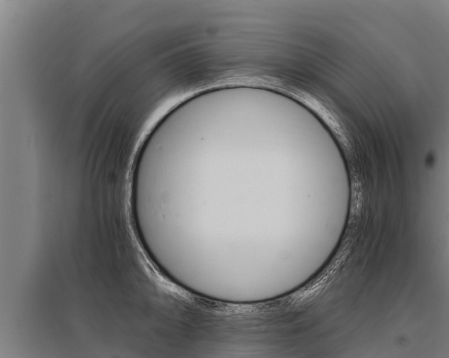 X0000096141094200801180846