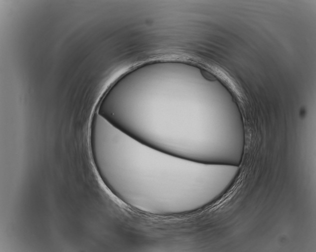 X0000096141095200801180846