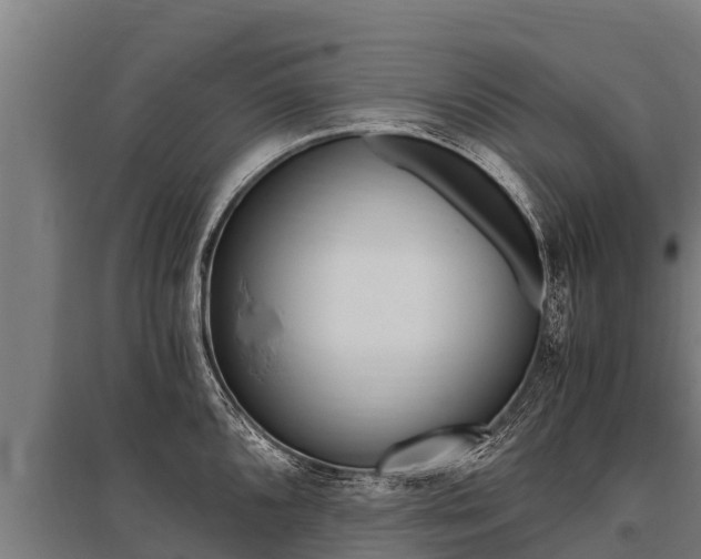 X0000096141096200801180846