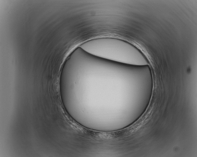 X0000096141097200801180846