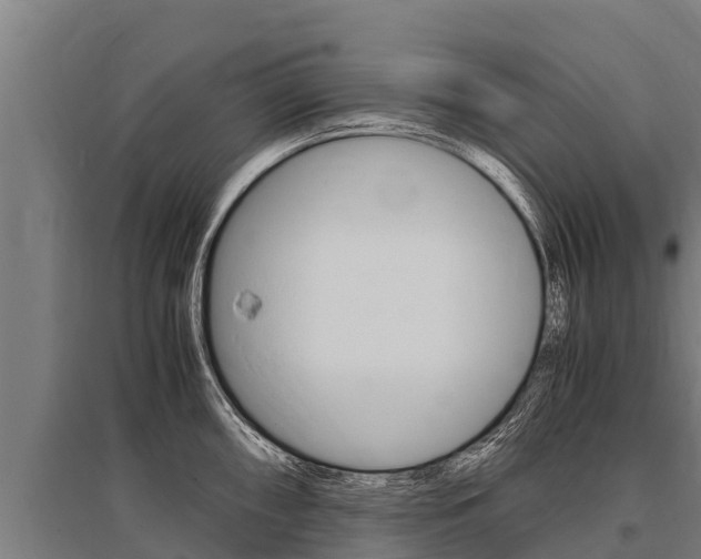 X0000096141098200801180846