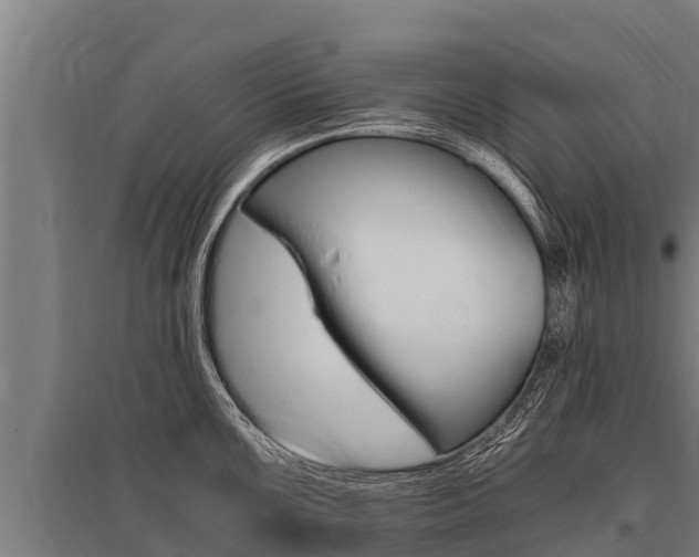 X0000096141099200801180846