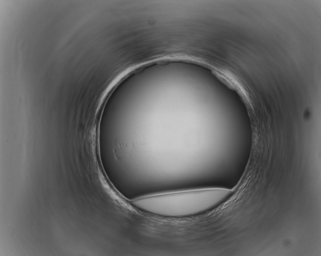 X0000096141100200801180846