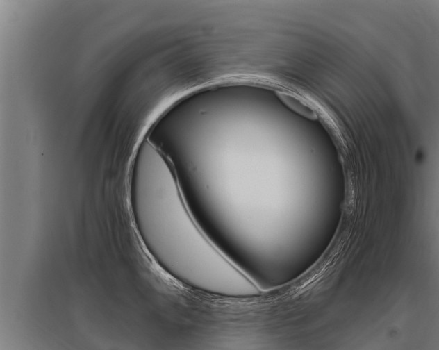 X0000096141102200801180846