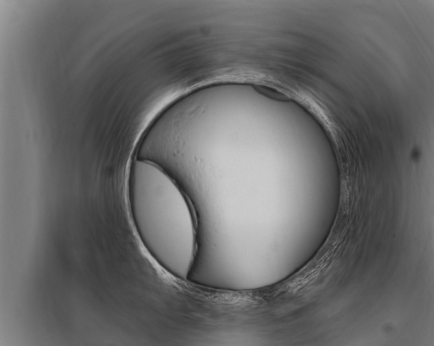 X0000096141103200801180846