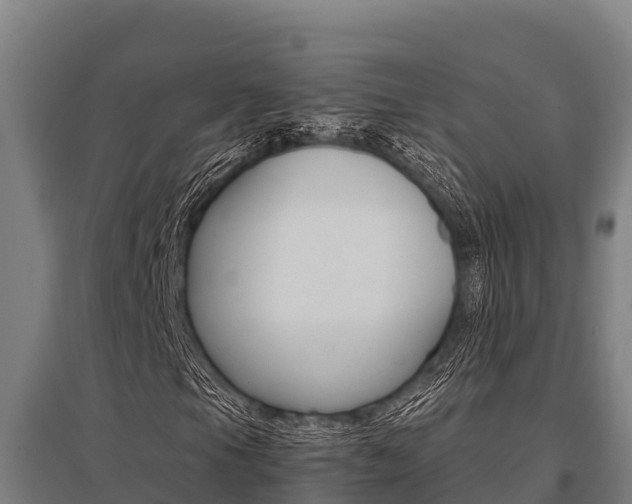 X0000096141105200801180845