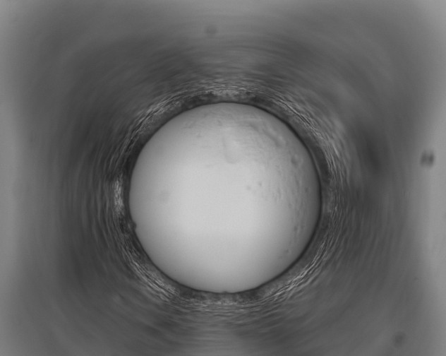 X0000096141106200801180845