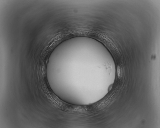 X0000096141107200801180845