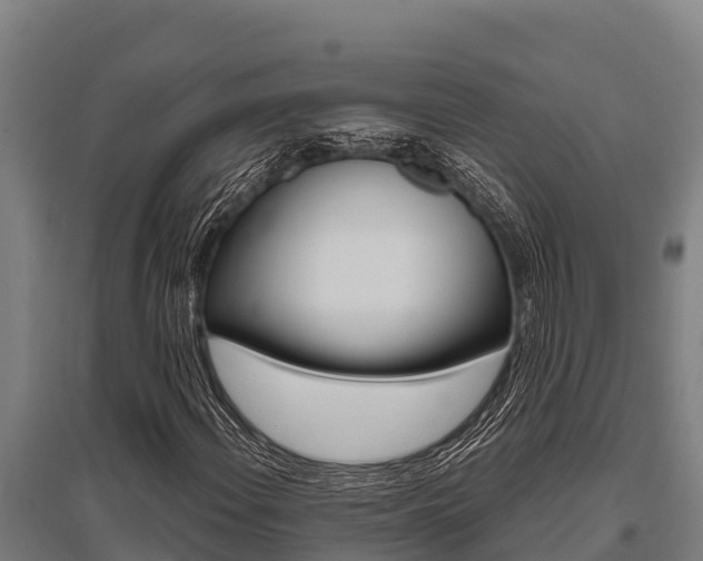 X0000096141108200801180845