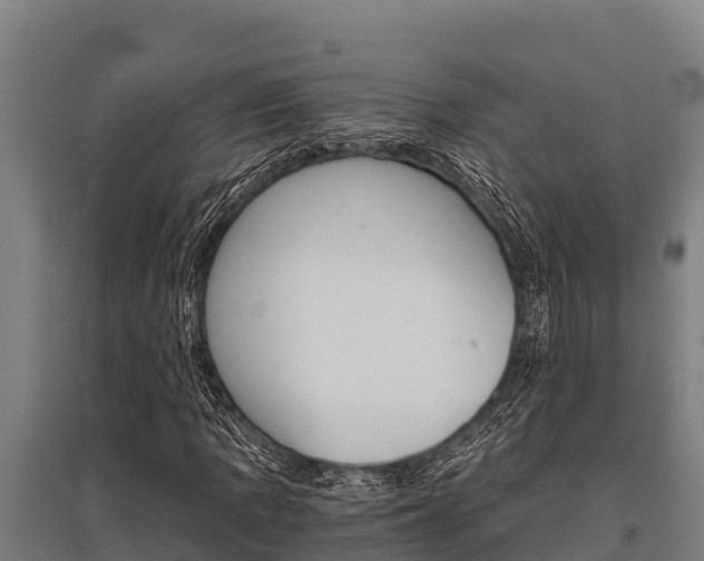 X0000096141109200801180845