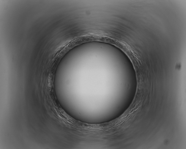 X0000096141110200801180845