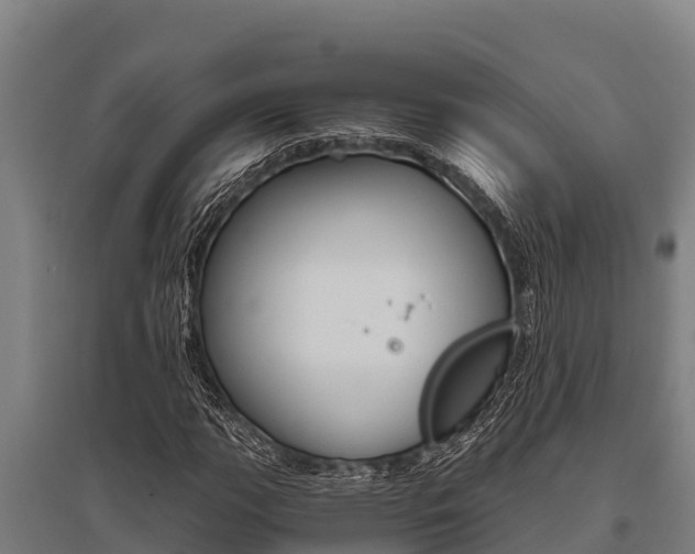 X0000096141111200801180845