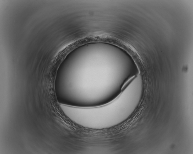 X0000096141112200801180845