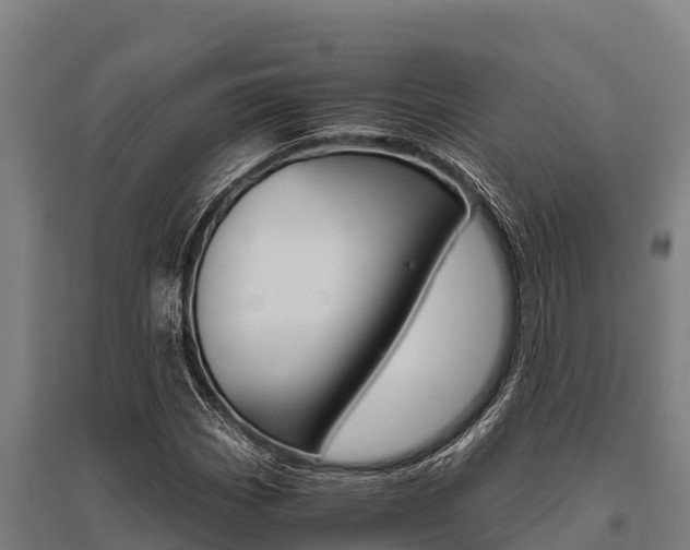 X0000096141113200801180845