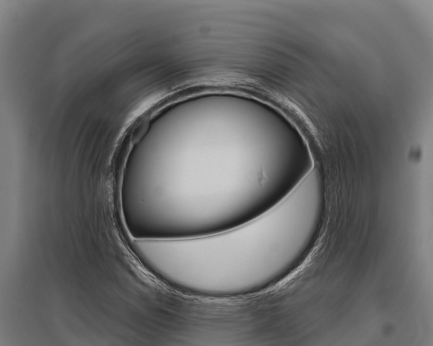 X0000096141114200801180845