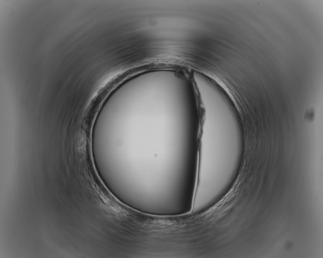 X0000096141115200801180845