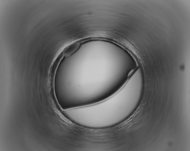 X0000096141116200801180845