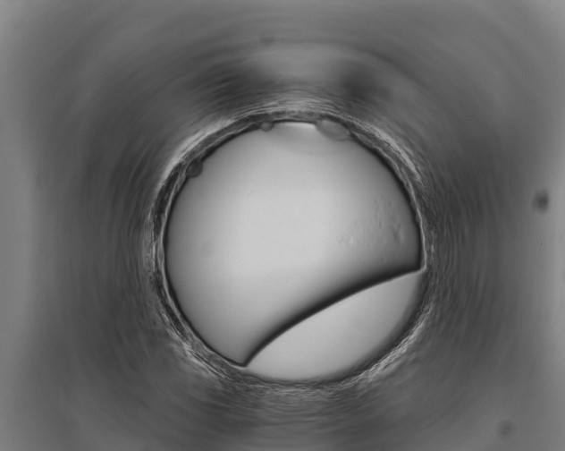 X0000096141117200801180845