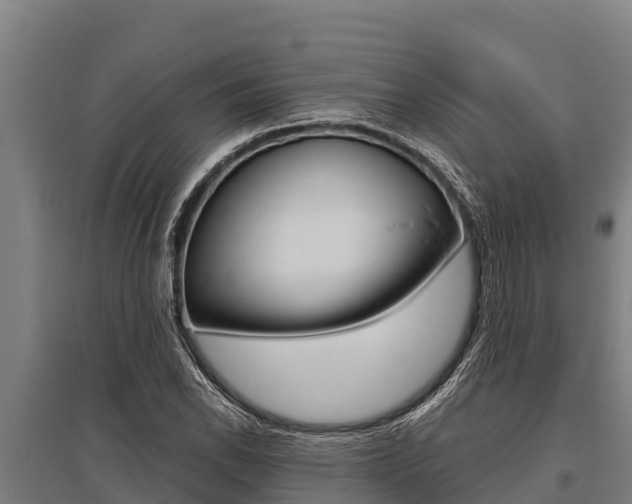 X0000096141118200801180845
