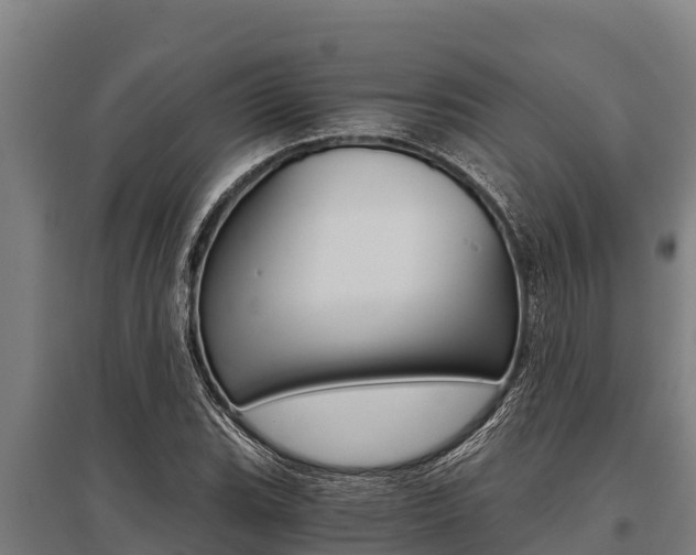 X0000096141119200801180845