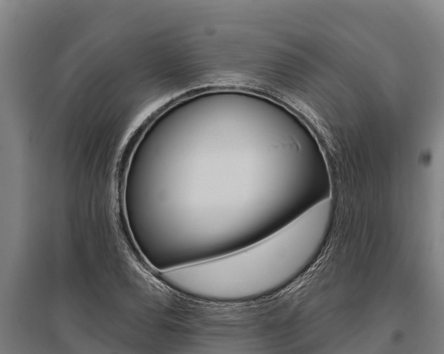X0000096141120200801180845