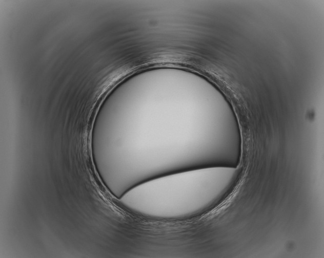 X0000096141121200801180845