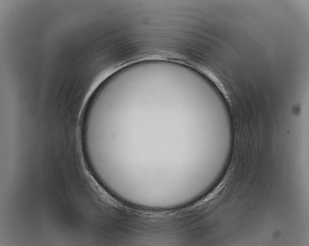X0000096141122200801180845