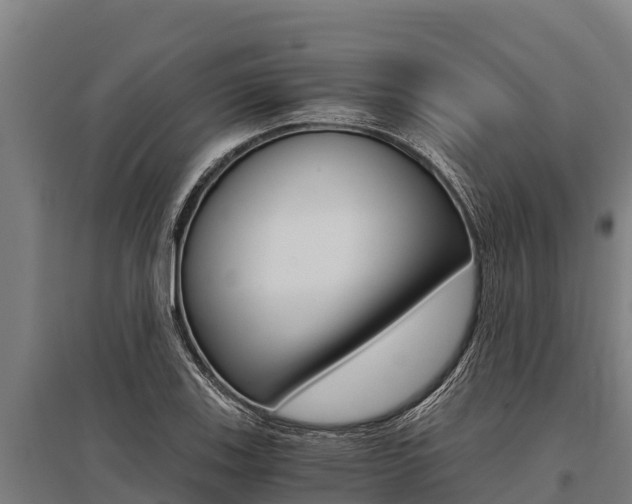 X0000096141123200801180845