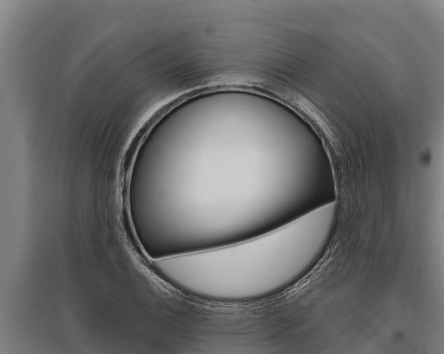 X0000096141124200801180845