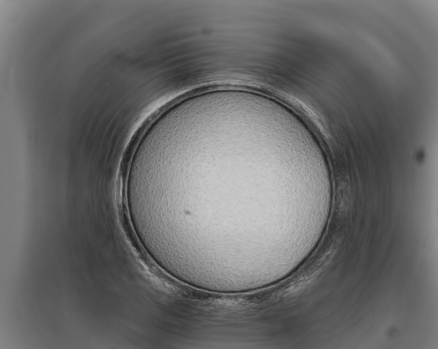 X0000096141125200801180845