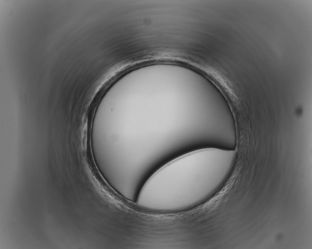 X0000096141126200801180845