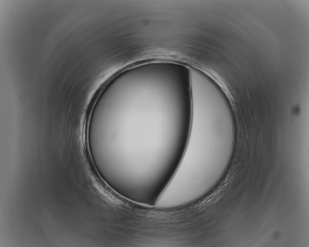 X0000096141128200801180845