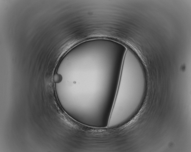 X0000096141129200801180846