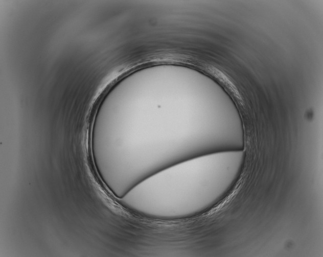 X0000096141130200801180846