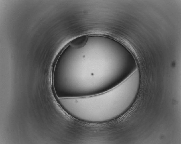 X0000096141132200801180846
