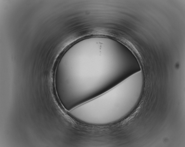 X0000096141133200801180846