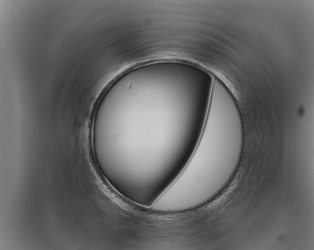 X0000096141134200801180846