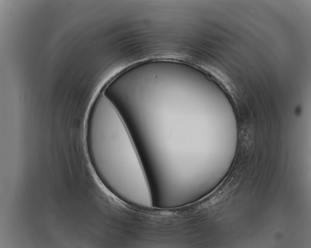 X0000096141135200801180846
