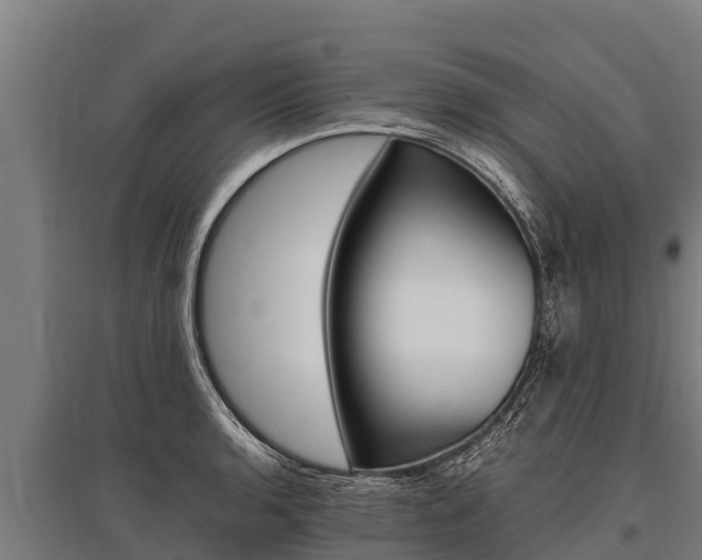 X0000096141136200801180846