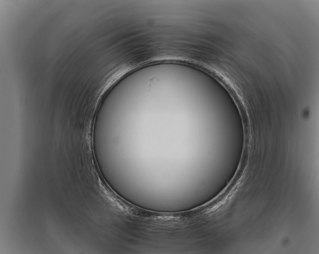 X0000096141137200801180846
