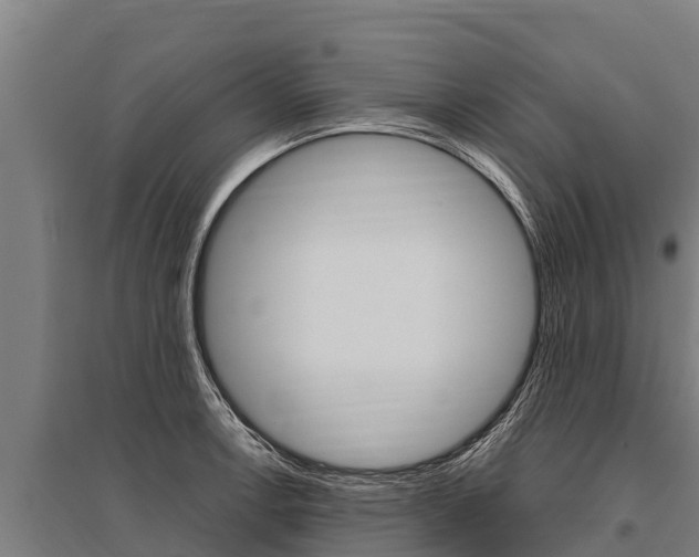 X0000096141138200801180846
